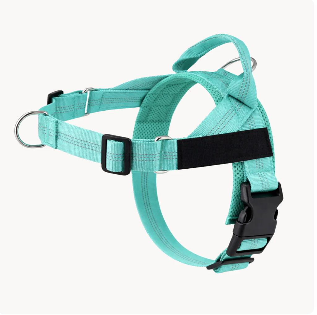 Harnais Anti Traction pour chien NovaPet