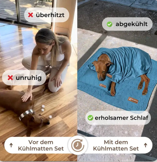 Tapis rafraichissant Novapets Ensemble complet