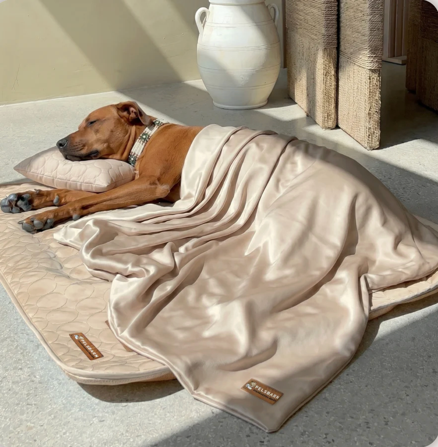 Tapis rafraichissant Novapets Ensemble complet