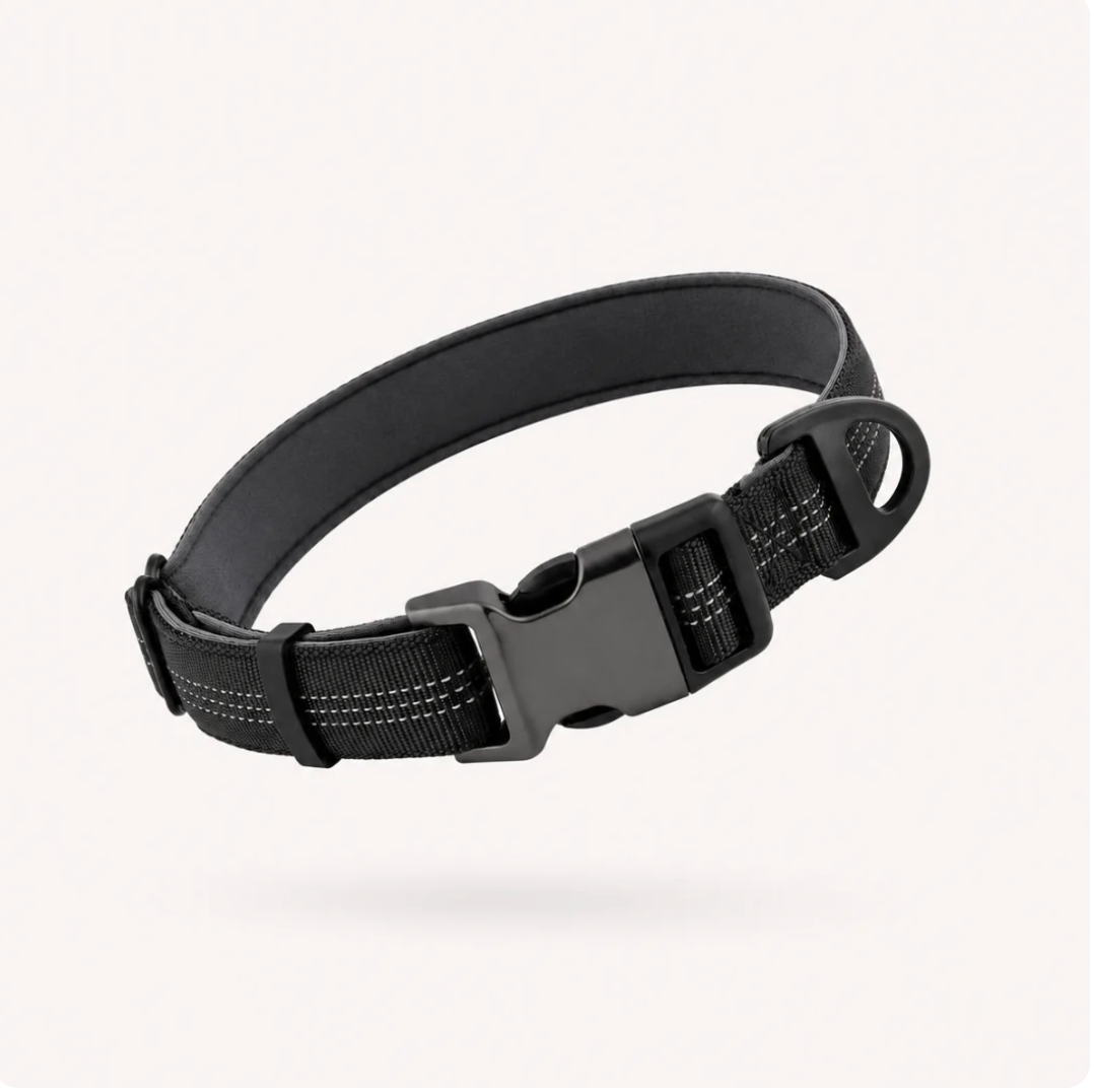 Collier pour chien Novapet Essentiel