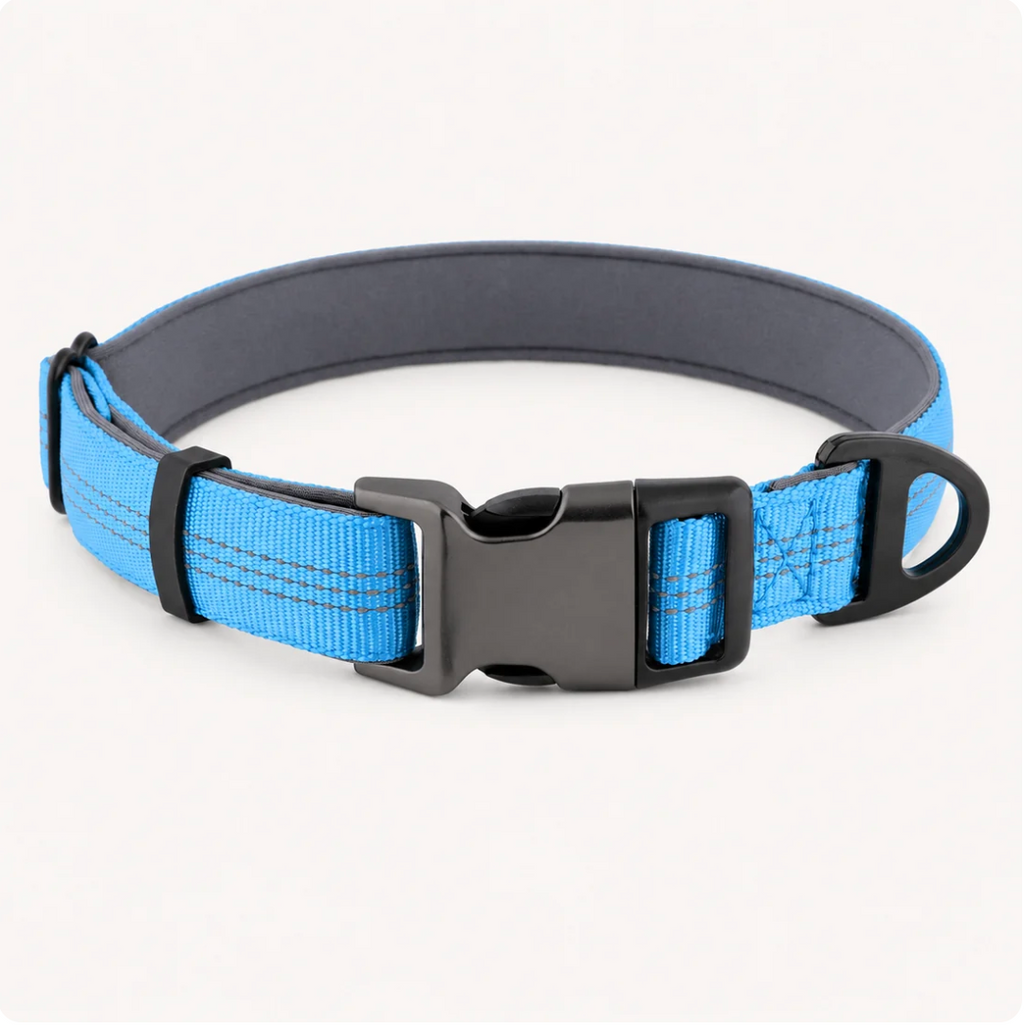 Collier pour chien Novapet Essentiel