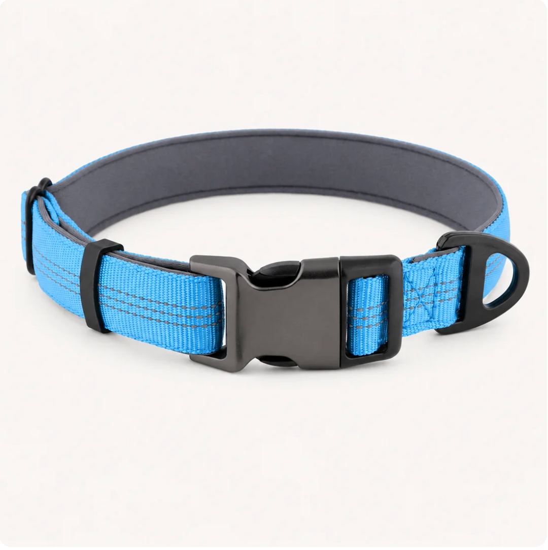 Collier pour chien Novapet Essentiel
