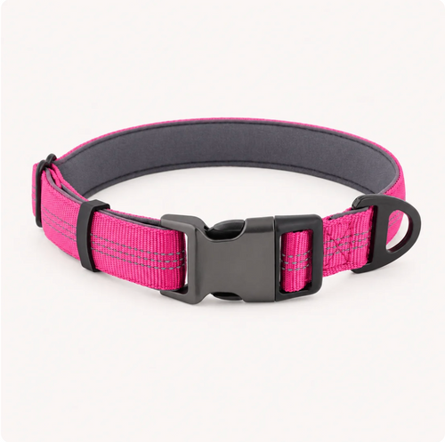 Collier pour chien Novapet Essentiel