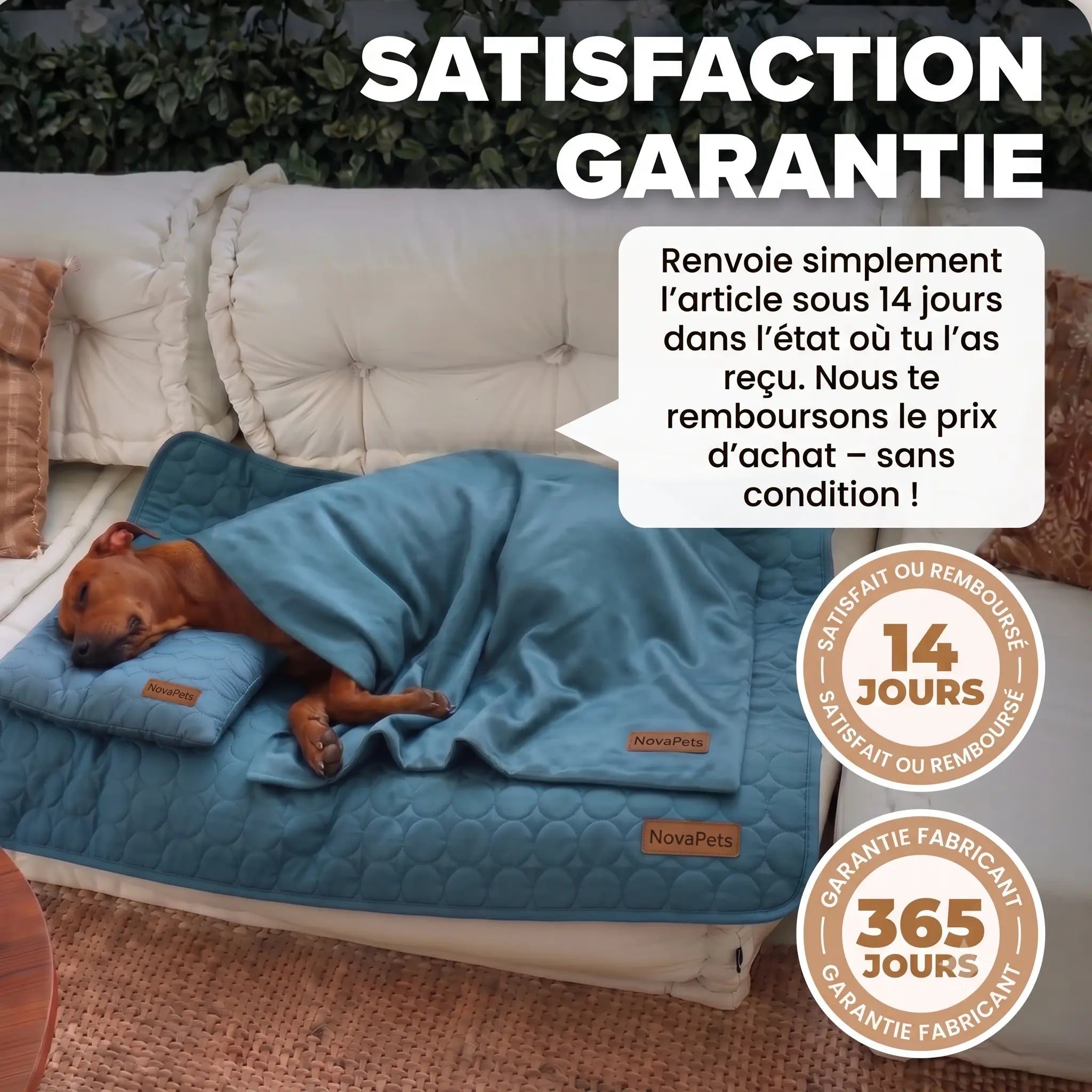 Tapis rafraichissant Novapets Ensemble complet