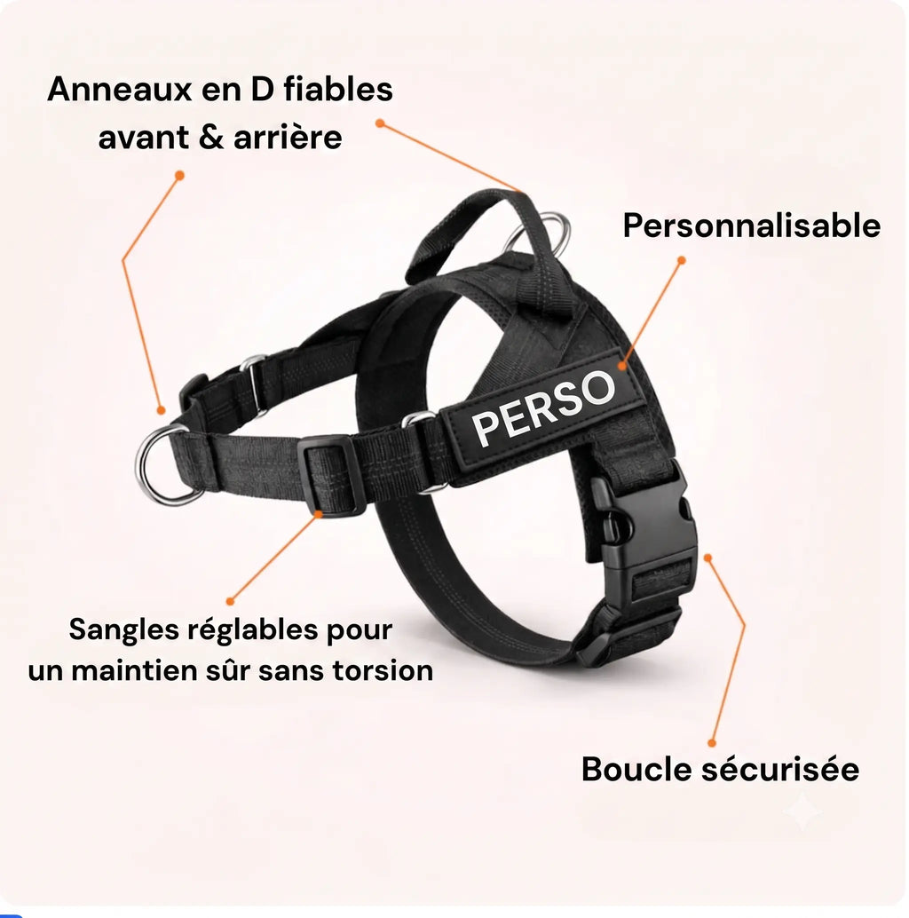 Harnais Anti Traction pour chien NovaPet