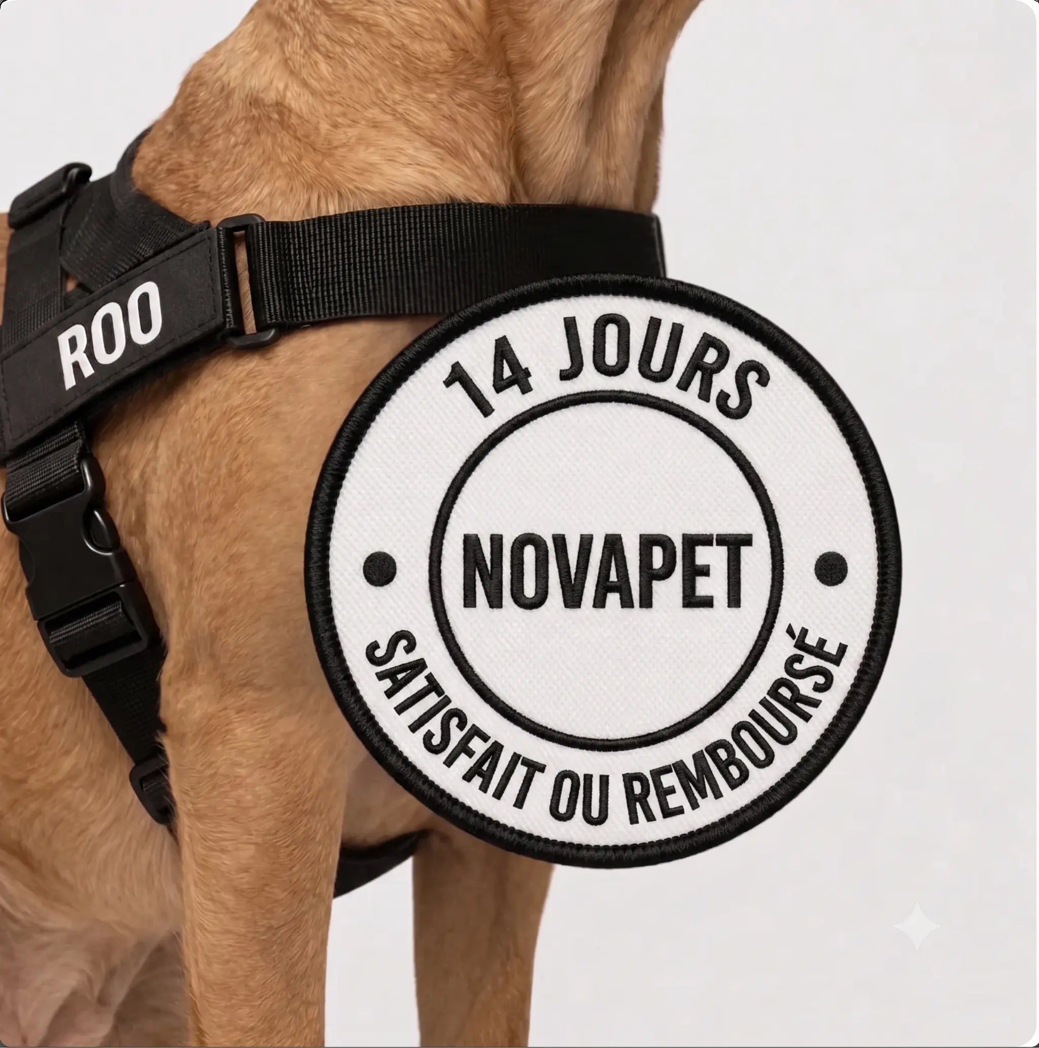Harnais Anti Traction pour chien NovaPet