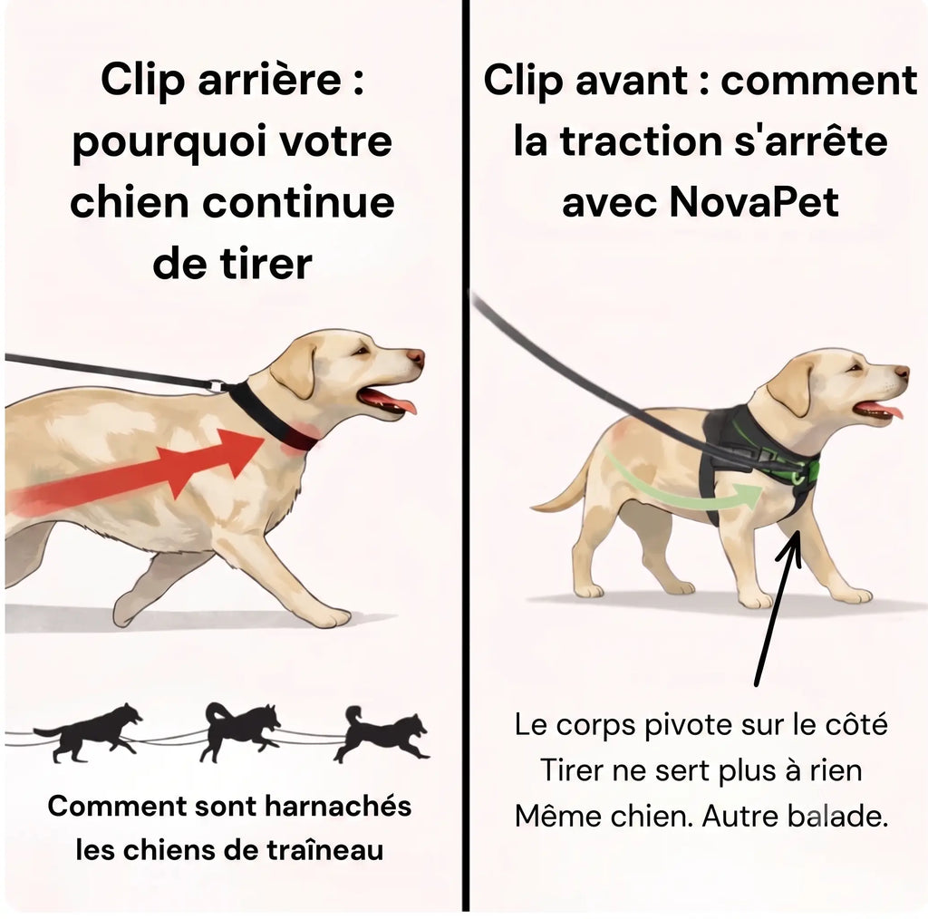 Harnais Anti Traction pour chien NovaPet