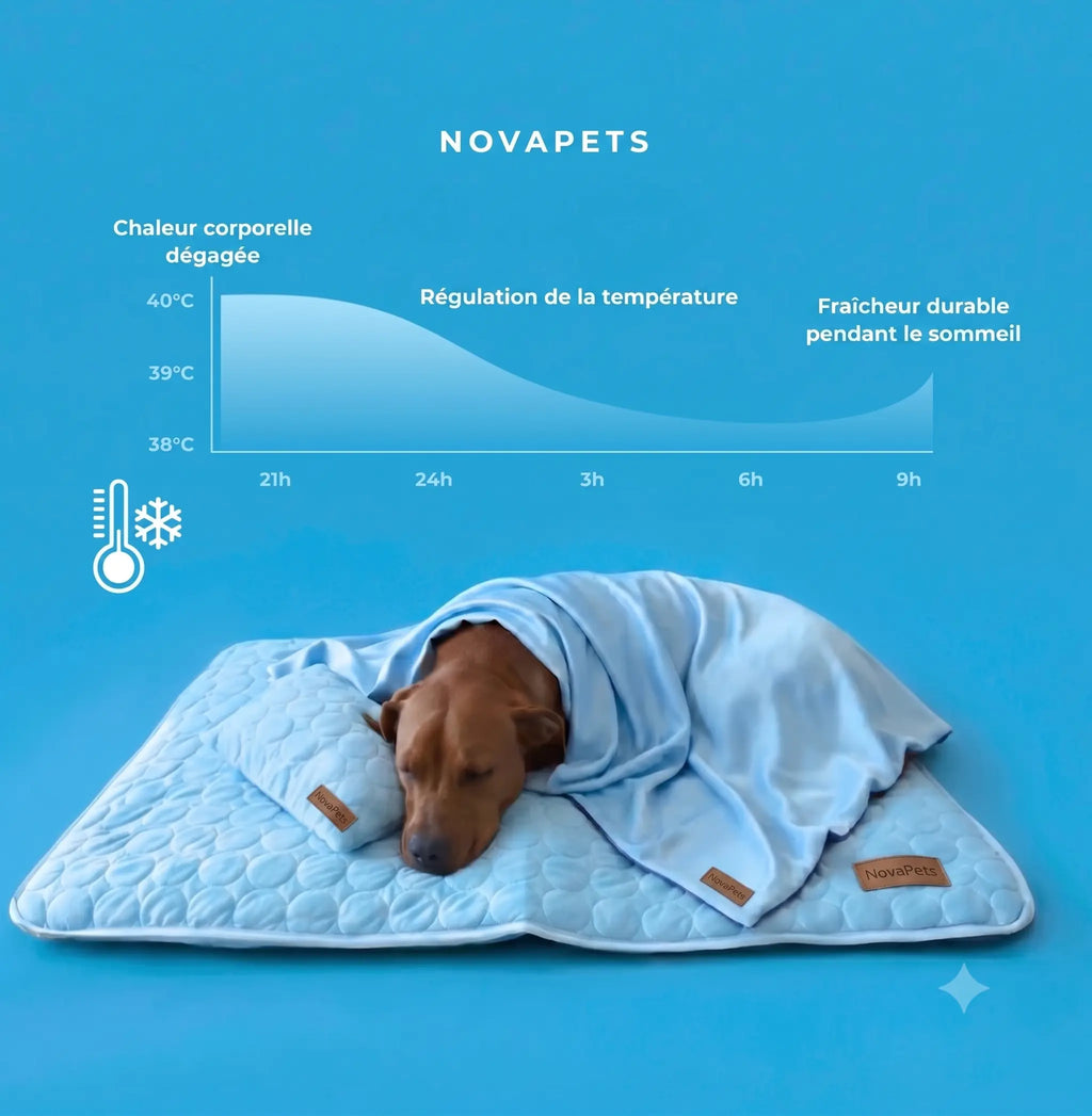 Tapis rafraichissant Novapets Ensemble complet