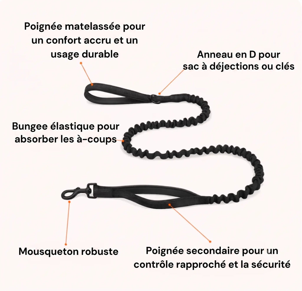 Harnais Anti Traction pour chien NovaPet
