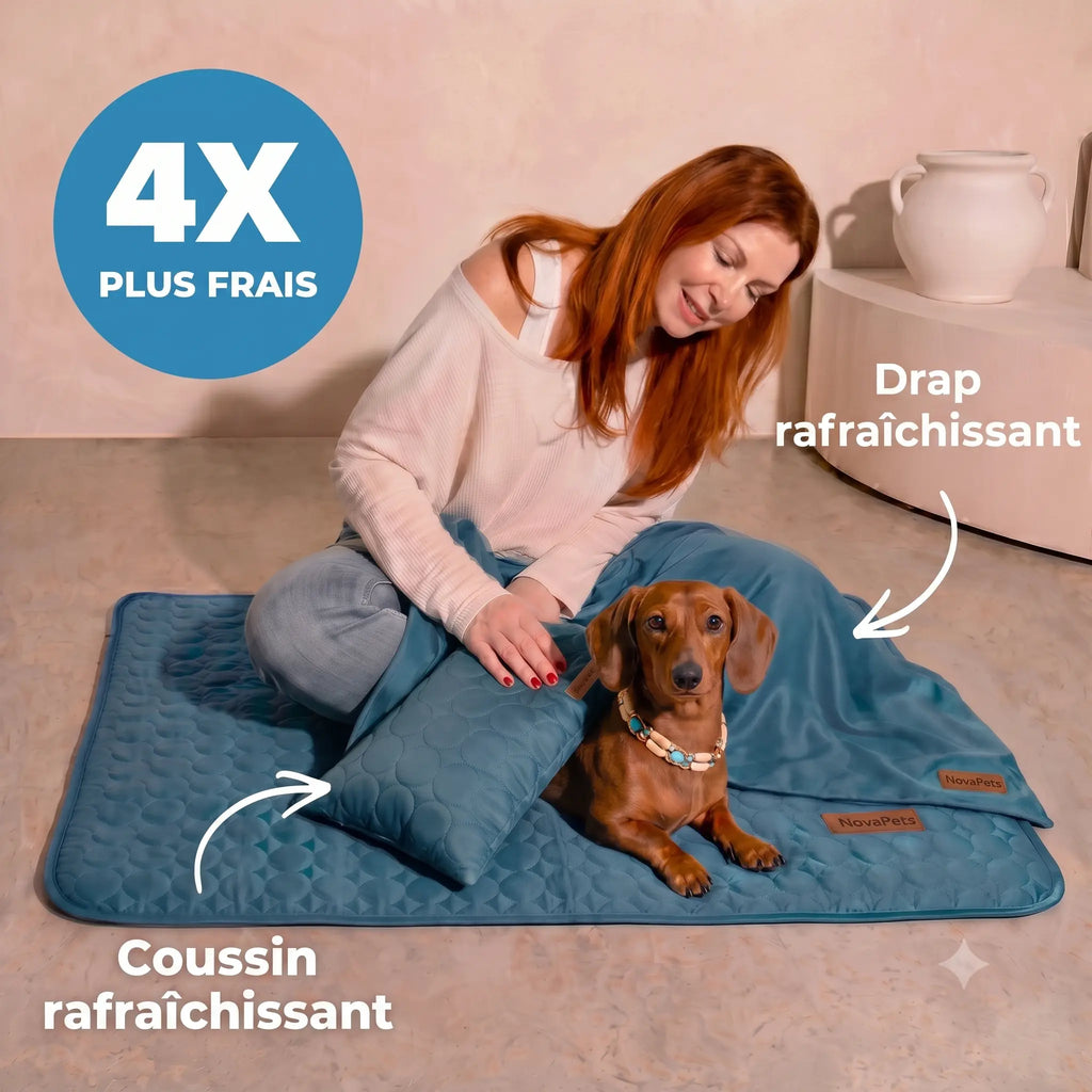 Tapis rafraichissant Novapets Ensemble complet