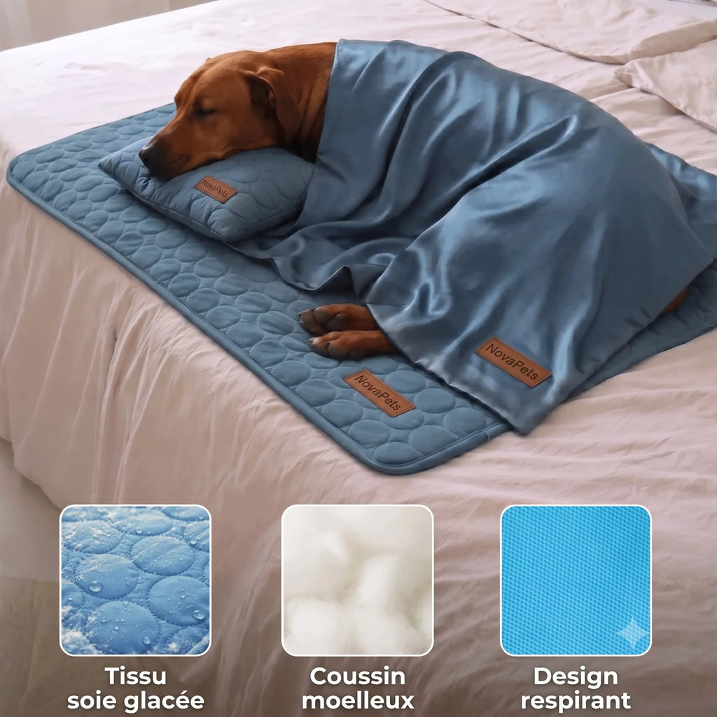 Tapis rafraichissant Novapets Ensemble complet