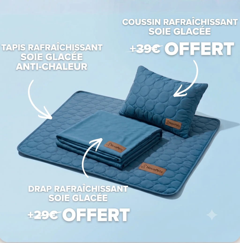 Tapis rafraichissant Novapets Ensemble complet