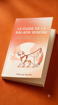 Ebook Le guide de la promenade sereine