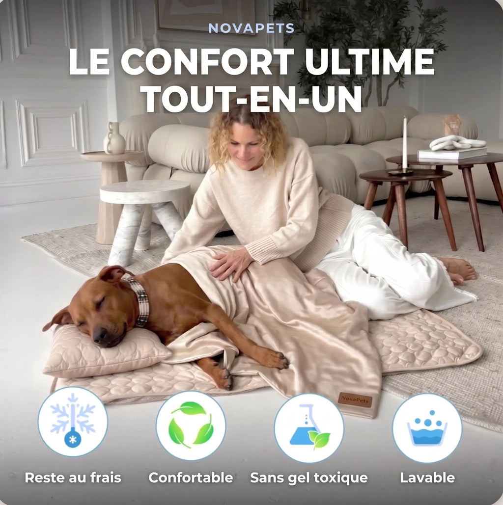 Tapis rafraichissant Novapets Ensemble complet