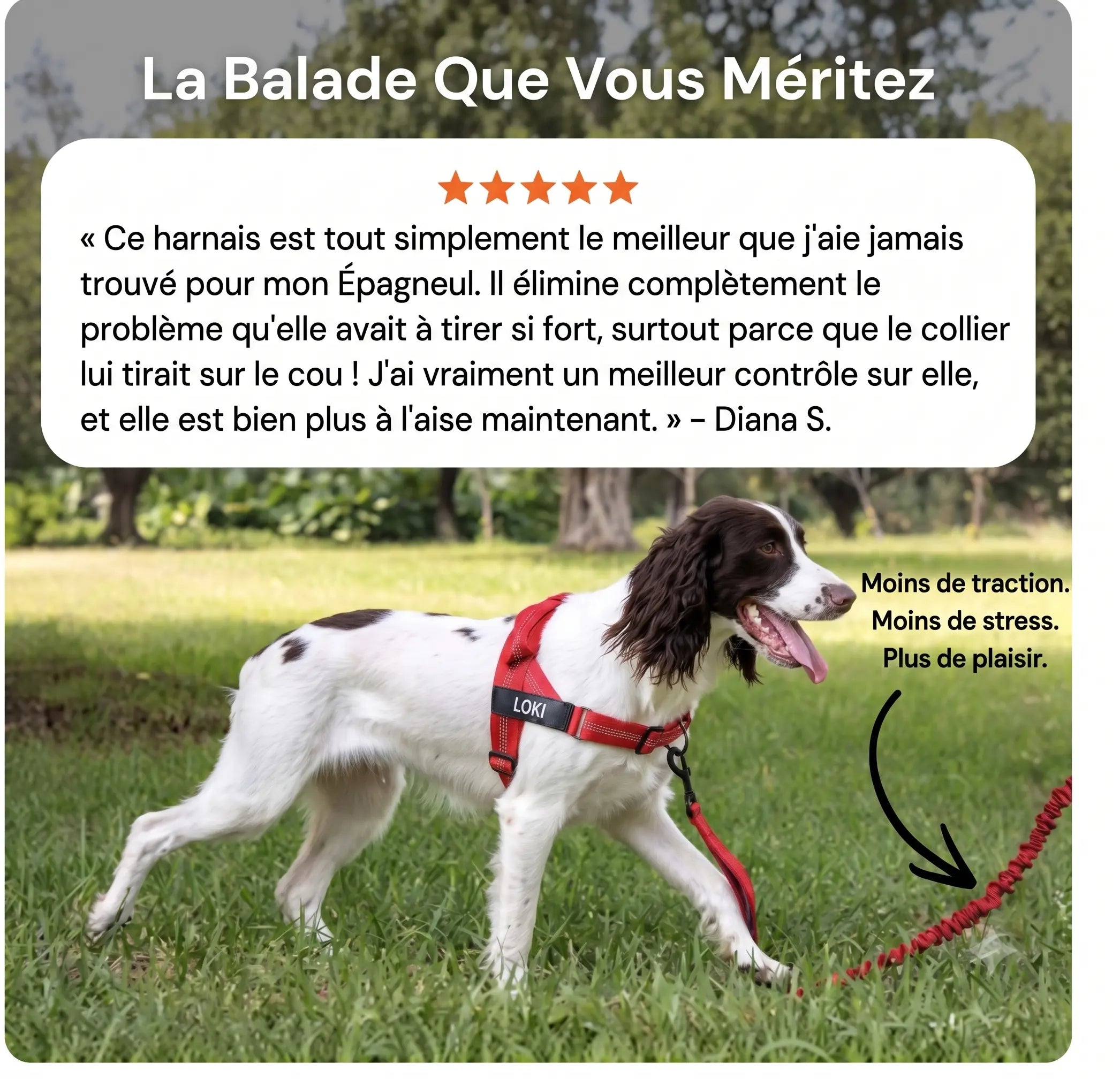 Harnais Anti Traction pour chien NovaPet