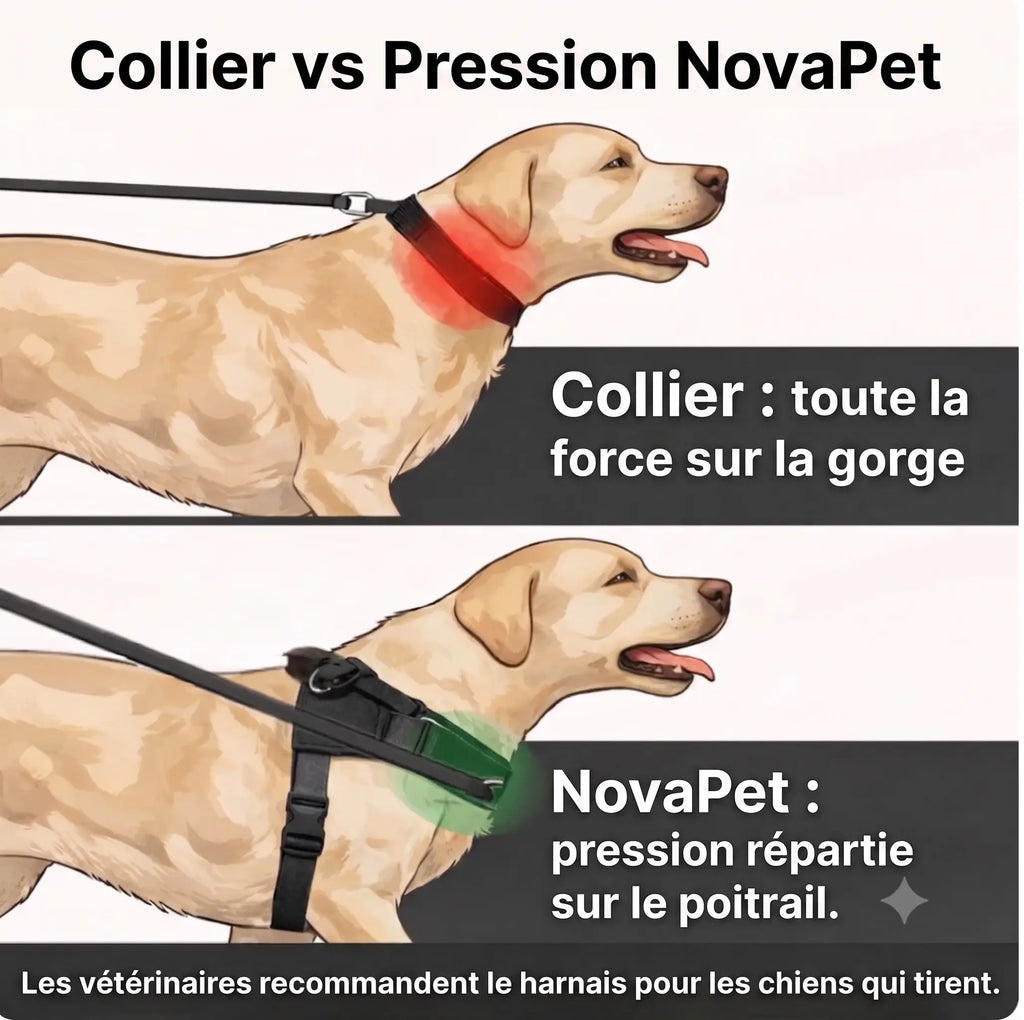Harnais Anti Traction pour chien NovaPet